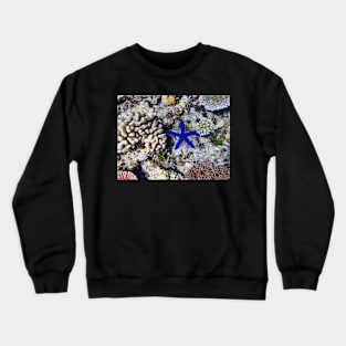 Starfish on the Reef Crewneck Sweatshirt